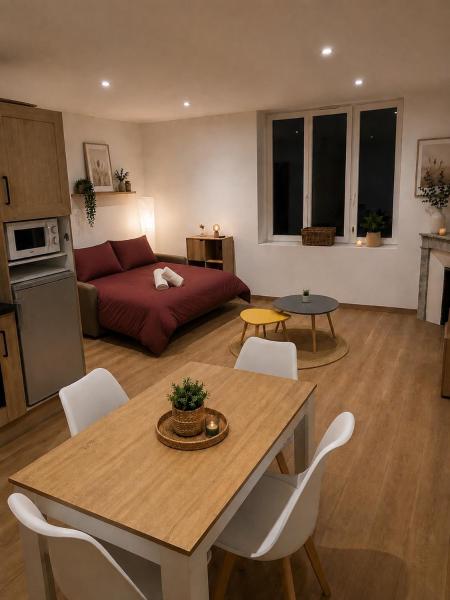 Studio Design Haut Standing - Centre Mazamet - Mazamet