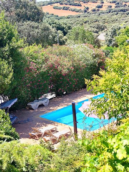 Relax Rural A 45min De Madrid Garden Kids Pets - Galápagos