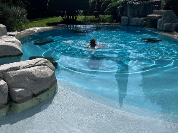 Bel Appartement Design Entouré De Nature Avec Piscine - Les Ulis