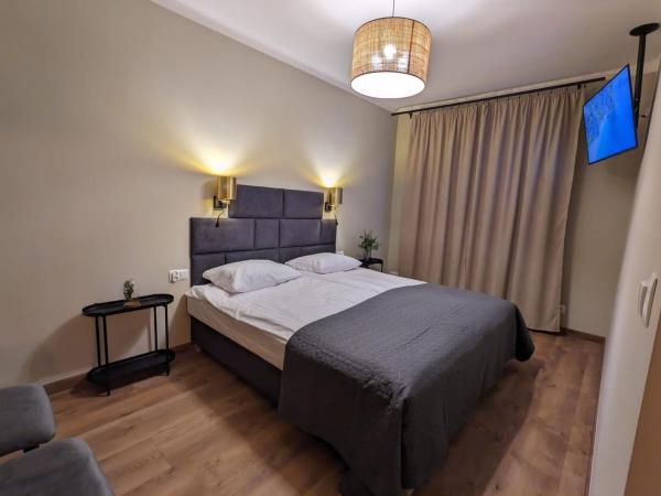 Spacious Two-bedroom Apartment In The City Center - クラクフ