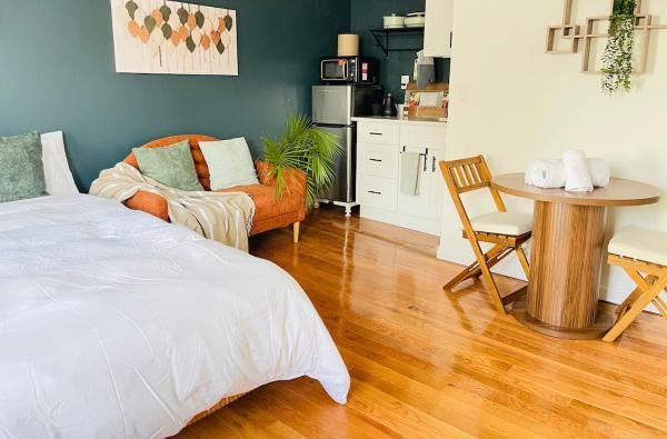 Private Studio With Steps To Kendall,mit,mgh - Cambridge