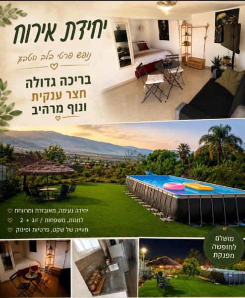 Foto 1: לרניקה - יחידות אירוח