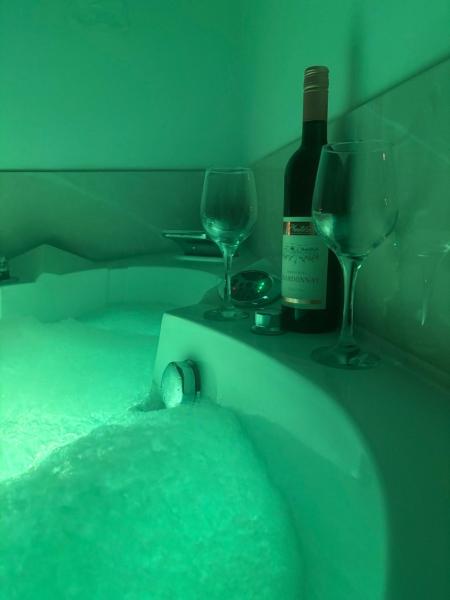 Premium Jacuzzi Apartment-free Parking Garage - Novi Sad