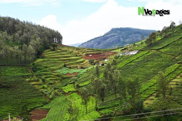 Nvoyages Side Ooty - Ooty