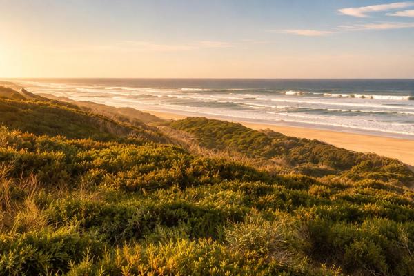White Sands Self-catering Units - Sedgefield