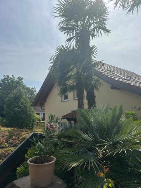 Ferienwohnung Mühlberg - Reinsberg