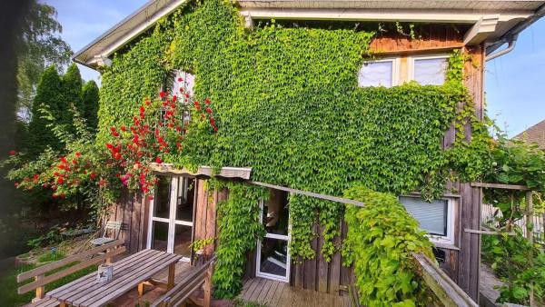 Grünes Sundchalet - Stralsund