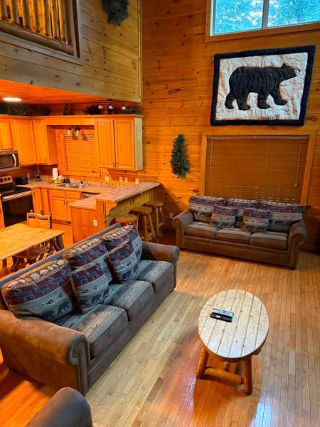 A Bear's Kind Of Fun - Gatlinburg, TN