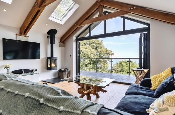 Hummingbird - Marazion