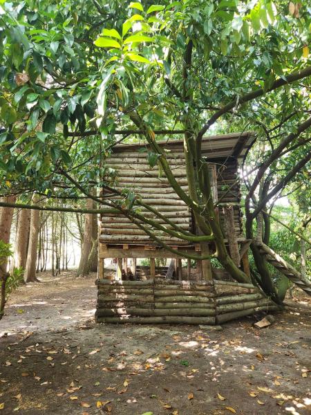 Tree House At The Secret Garden - Sissinghurst