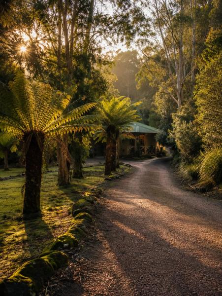 Cradle Forest Inn - Tasmanie