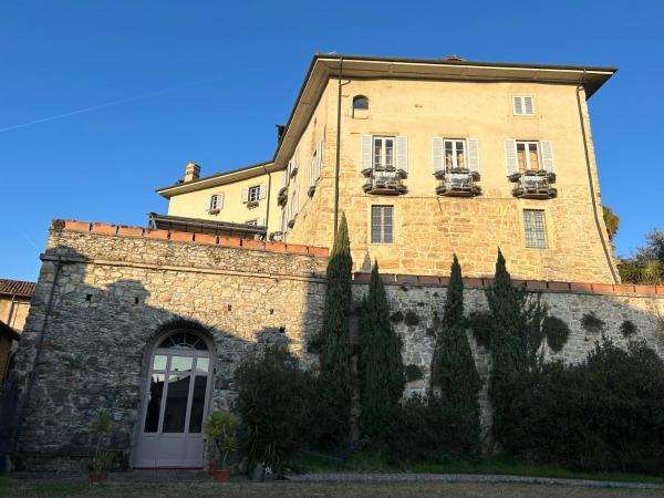 Volta Palazzo Gout - Bergamo