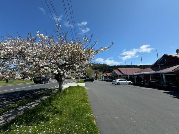 Quality Hotel Rooms With 1, 2, 3 Or 4 Double Beds - Rotorua