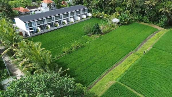 The Royal Kana Villa - Bali