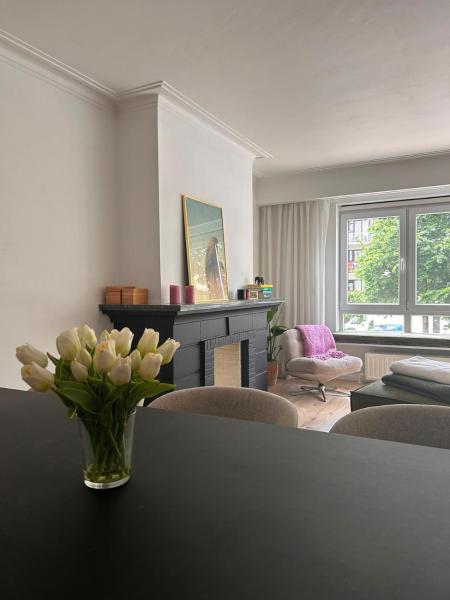Spacious Bright Apartment Near The City Center Of Ghent - Gand