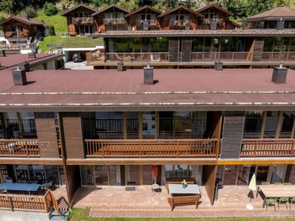 Pool Chalet In Wald Im Pinzgau - Krimml