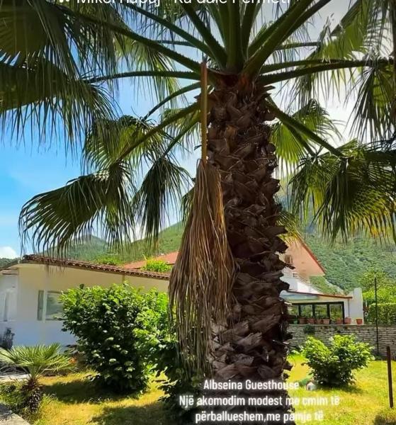 Albseina Guesthouse - Albanie