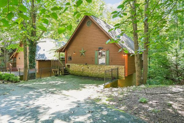 3 Bears Cabin Cabin - Pigeon Forge, TN