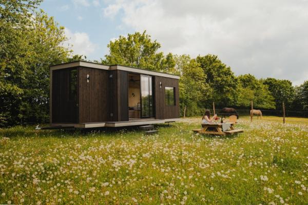 Puits Carré - Parcel Tiny House - Tiny House Près Des Chevaux Dans Le Perche Mae-8941 - Bellême