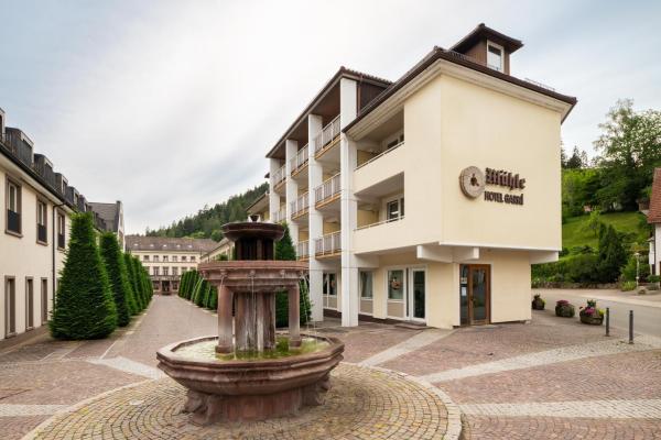 Hotel Mühle - Altensteig