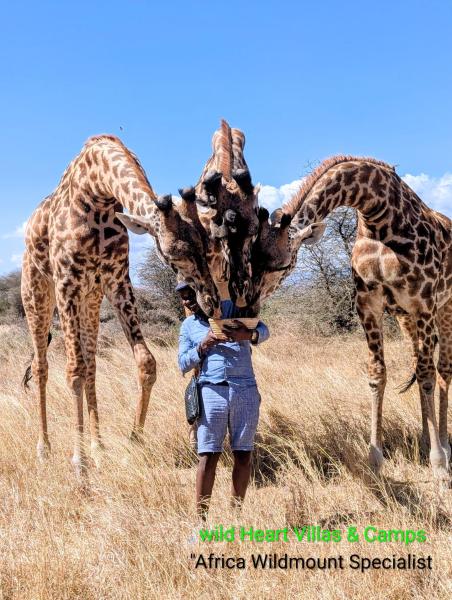 Wild Heart And Camps Villas - Tanzania