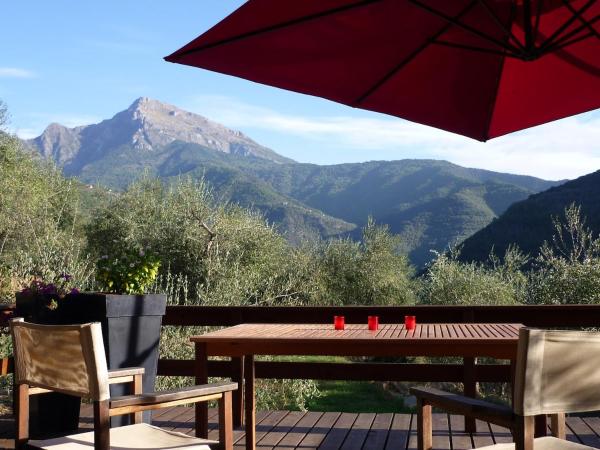 Casarovear Detached House In Olive Yard - Sanremo