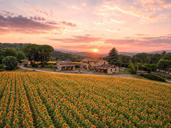 Casetta Della Pina - Toscane