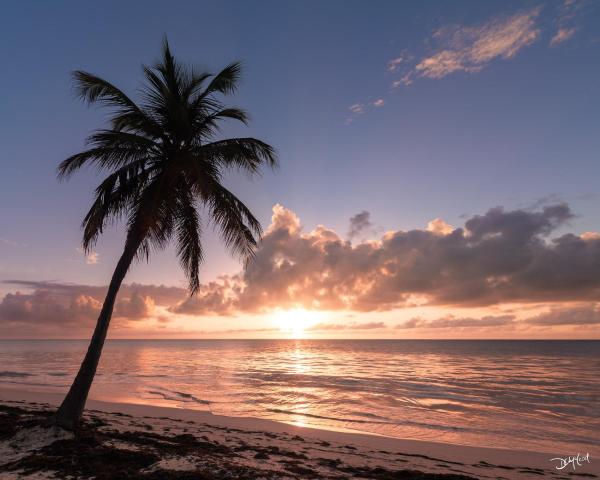 Vacation Hotel - Bavaro Beach Club - Wifi - Parking - Tropicana Suites Studios - Spa - Punta Cana