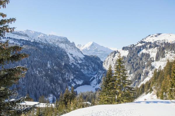 Résidence Capricorne - Maeva Home - Studio 4 Personnes - Budget Mae-3836 - Flaine
