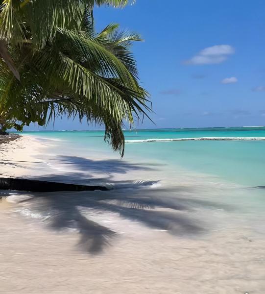Aruba Beach Hotel Punta Cana - 푼타 카나