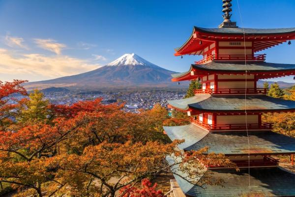 亀の井ホテル 富士 - 富士山