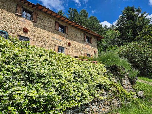 Into The Woods - Tuscany Retreat - Mugello
