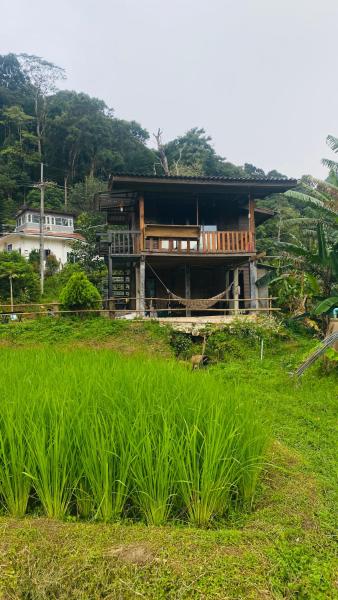 Peado2 - Chom Thong District