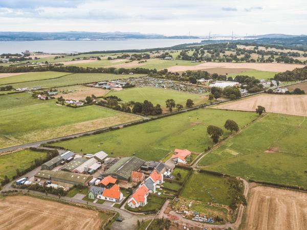 Petronella - Fife