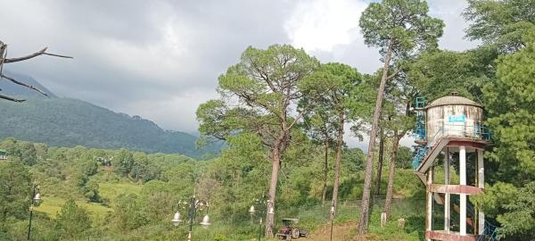 Hotel Som Kunj # Palampur Best Hotel With Mountain View # Free Parking #Room With Balcony - Palampur