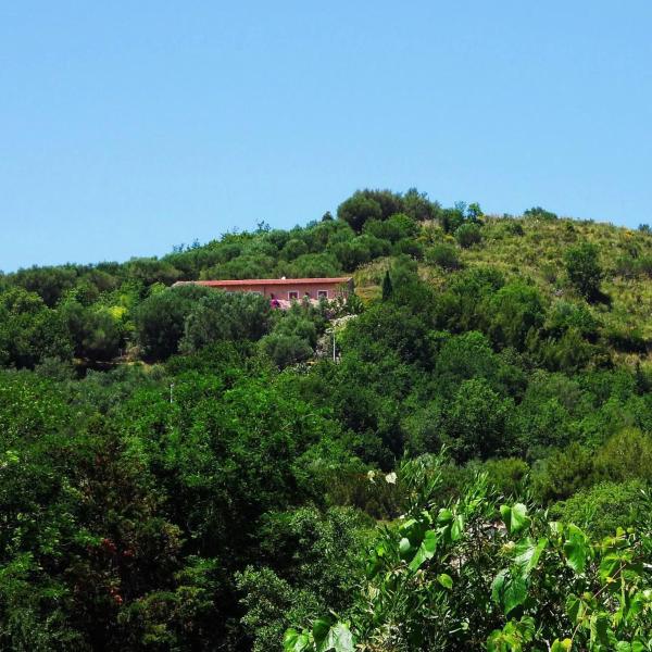 Bed And Breakfast Sant'agata - Palinuro