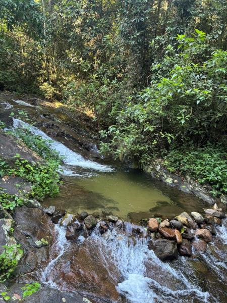 Camping Alto Vargem Grande - Río de Janeiro