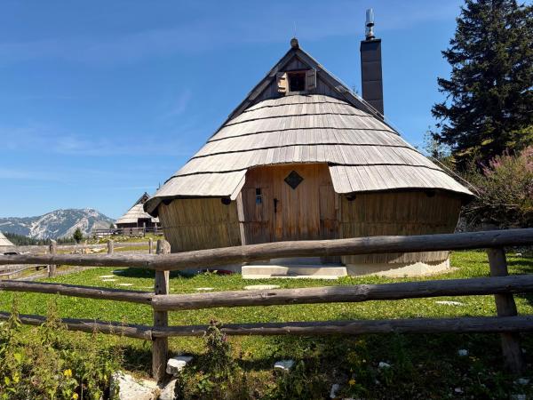 Chalet Lepenatka With Sauna - I Feel Alps - Logarska Dolina