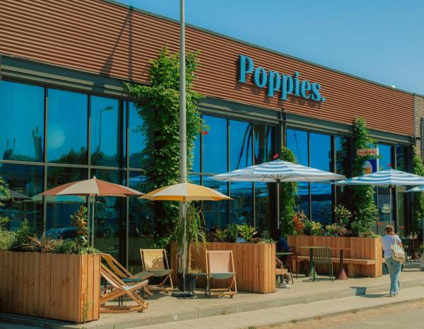 Poppies - Zaandam