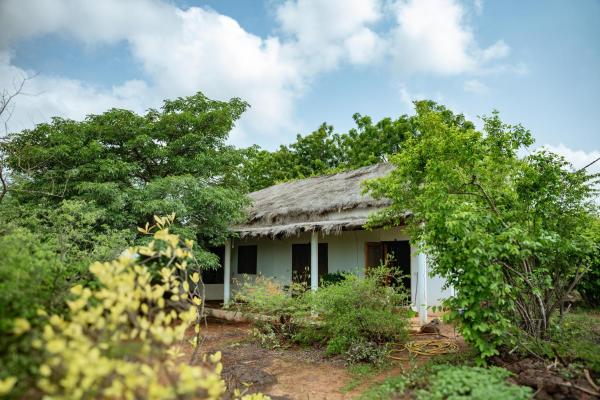 Mampuya Lodge Naturel Au Coeur De 49ha 1h30 De Dakar - Senegal