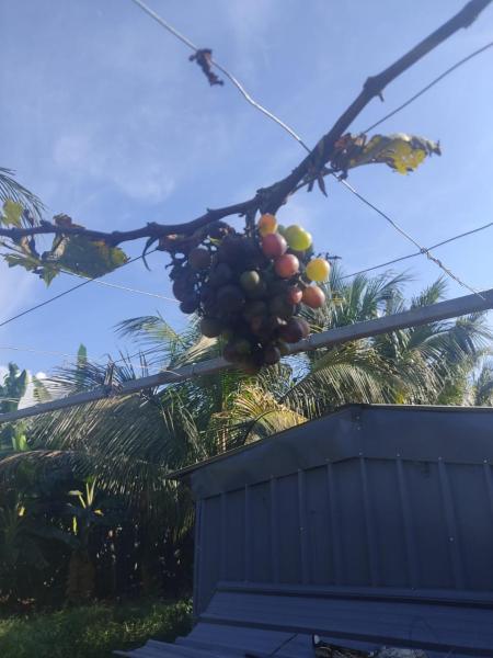  - Kerala