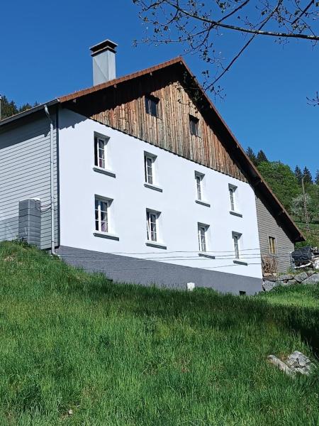 Location Saisonnière 10 Places, Belle Exposition, Vue Forêt Et Montagne - La Bresse
