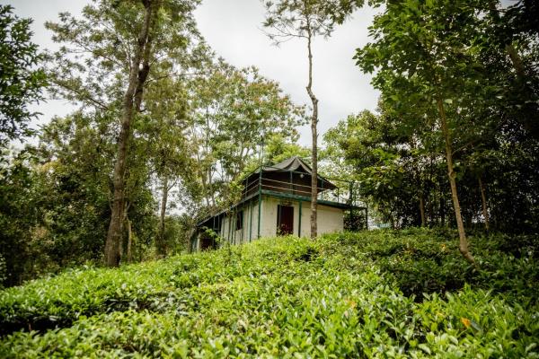Organic Farmers Tent & Trekking By Eco Escape Hospitality - Kotagiri