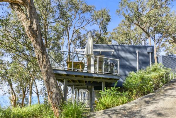 Bluegums At Lorne - Lorne