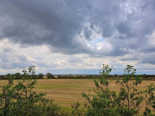 6 Person Holiday Home In Skærbæk - Dänemark