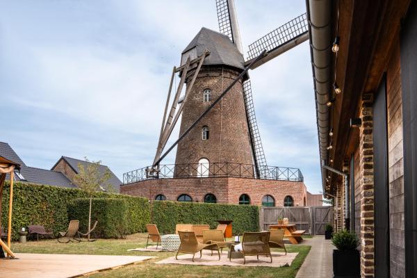 Windmolen De Hoop - Maaseik