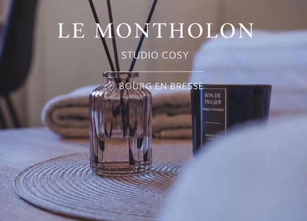 Le Montholon - Studio éLégance - Calme Et Parking - Bourg-en-Bresse