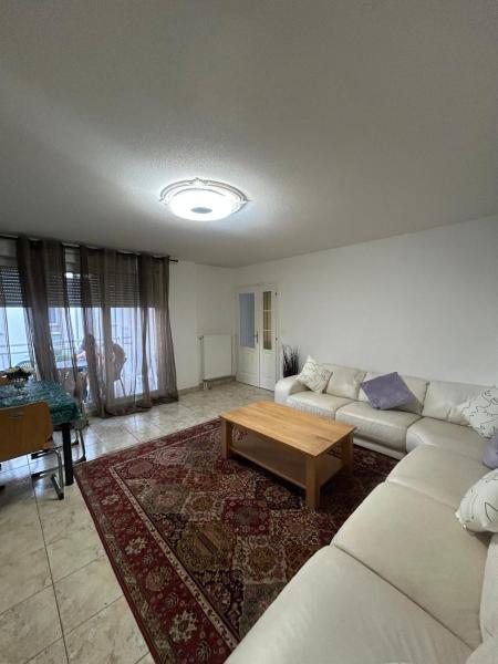 Spacious Accommodation Near Strasbourg - Hœnheim