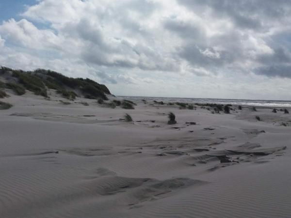 10 Person Holiday Home In Oksbøl-by Traum - Vejers Strand