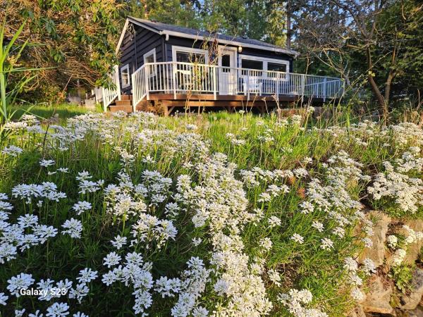 Bluebird Cottage - Washington